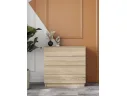 Комод с ящиками, Дуб сонома арт. 00-00324378