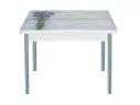 Стол обеденный поворотно раскладной фотопечать Симпл / бетон белый Букет / опора круглая серебристый металлик арт. 43630