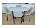 Обеденная группа Ника №1 арт. Цб-00013233