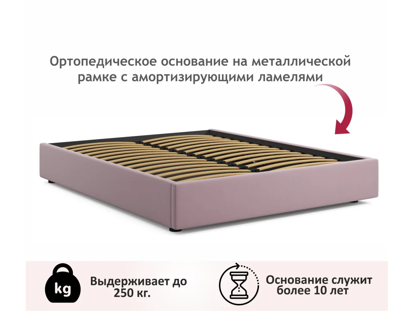 Мягкая кровать-софа без изголовья Base 1600 лиловый с ортопедическим основанием арт. Тэ-00005525