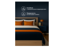 Таика 160х200 дуб золотой / камень темный Кровать