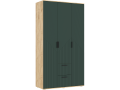Дуб Крафт