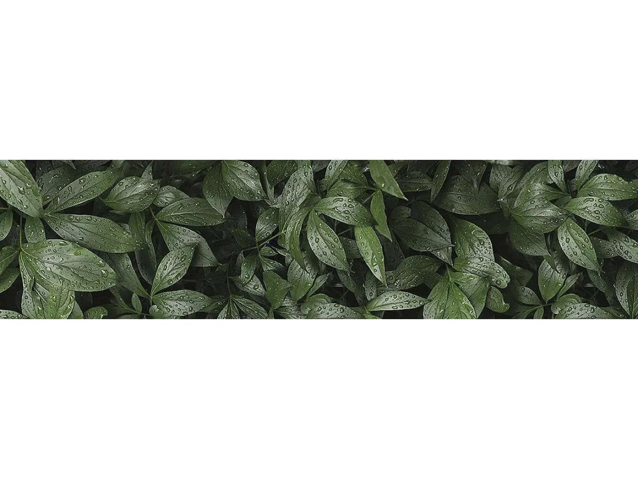 Фартук для кухни «Ботанический сад» арт. 1554595