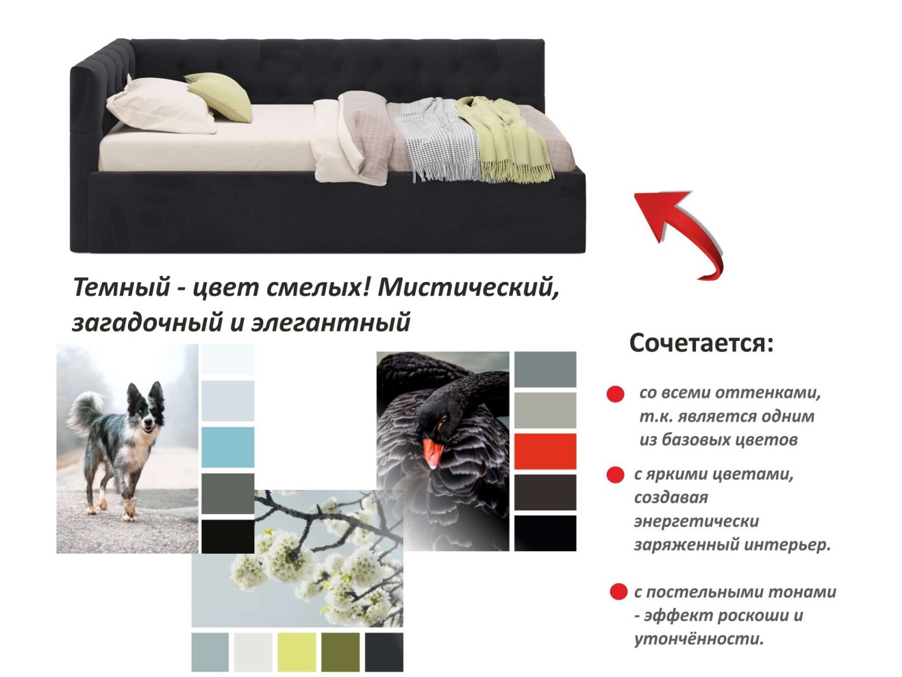 Мягкая кровать-тахта Afelia 900 темная с ортопедическим основанием арт. 971919
