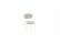 Дуб светлый