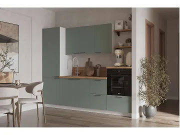 КГ 2550 Эмаль, Олива  Арника РМ в.10