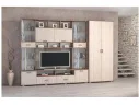Гостиная Аллегро ЛДСП Вариант 4 + шкаф (Венге / Белфорт) арт. 1212763