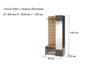 Прихожая с зеркалом Ольга Лофт 2, Дуб крафт золотой/Темно-серый арт. 690009