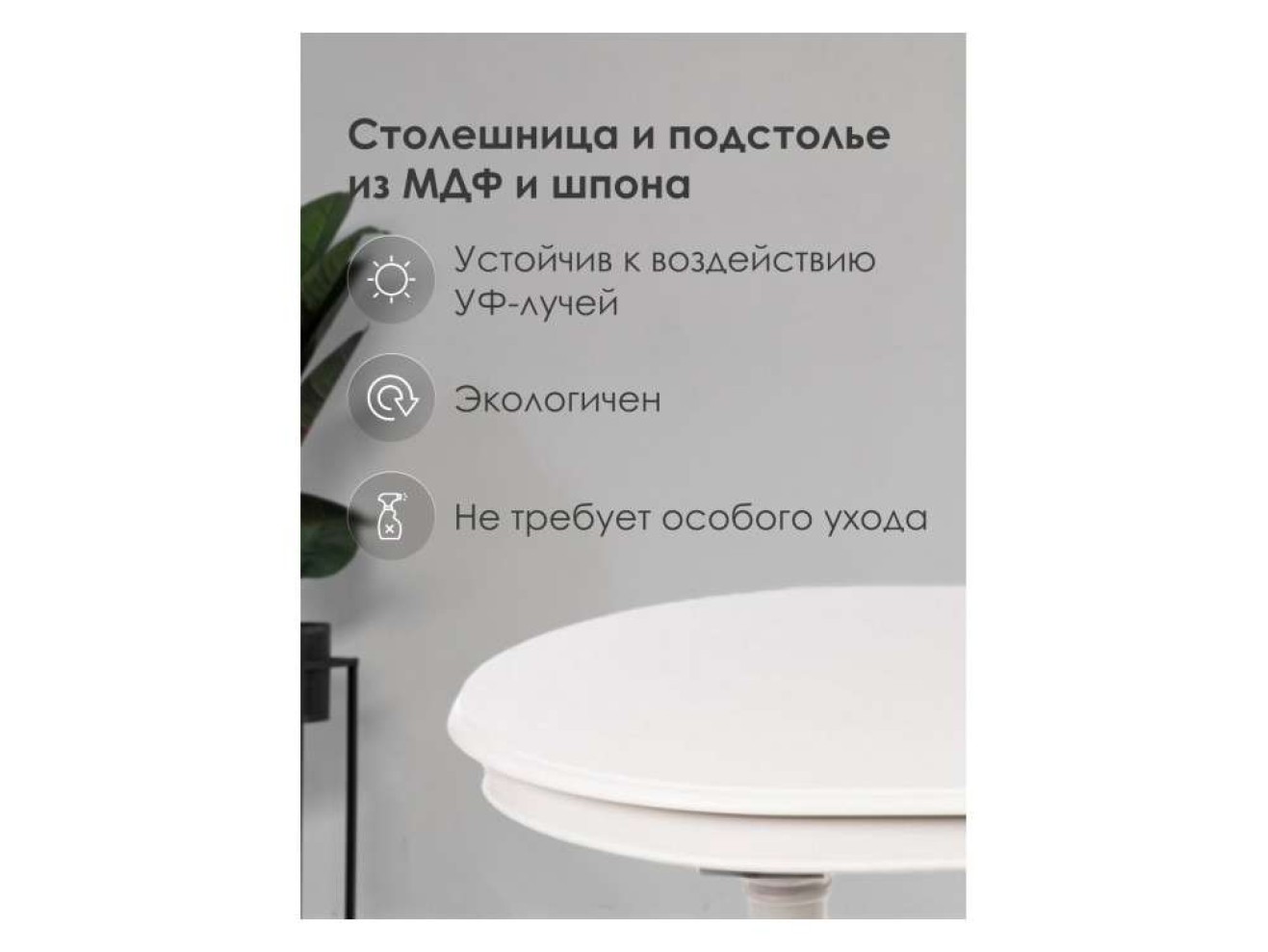 Elva Стол деревянный