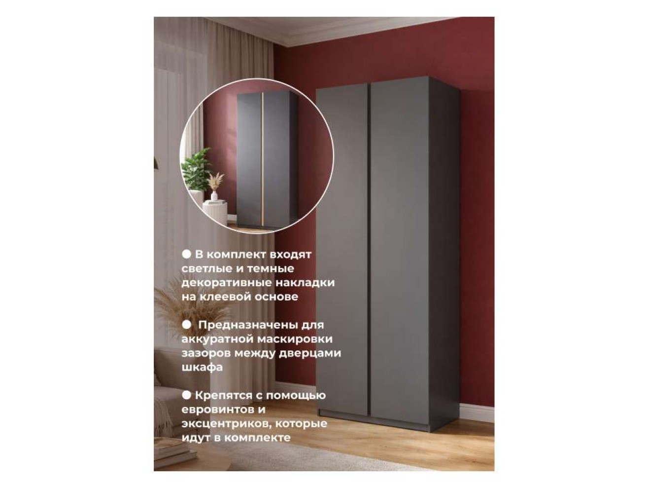 Кассий 02 2-х ств графит Шкаф арт. 1536341