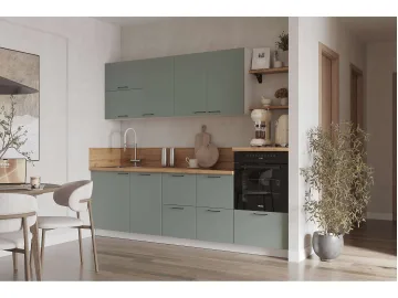 КГ 2550 Эмаль, Олива  Арника РМ