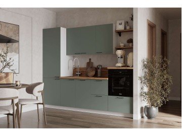 КГ 2550 Эмаль, Олива  Арника РМ в.7