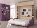 Многофункциональный трансформер шкаф-диван-кровать арт. 77318