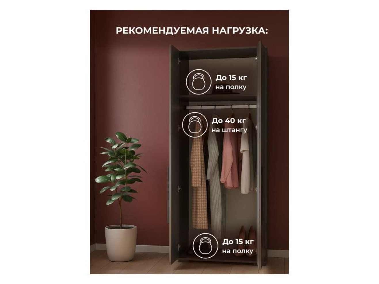 Филеста 2-ств. графит Шкаф