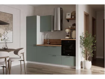 КГ 2400 Эмаль, Олива  Арника РМ в.8