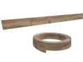 Дуб классический