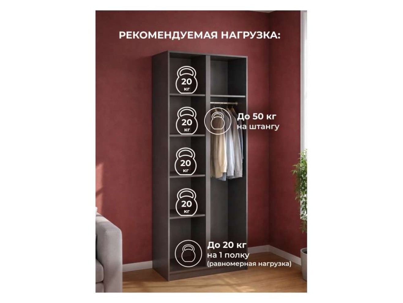 Кассий 02 2-х ств графит Шкаф арт. 1536341