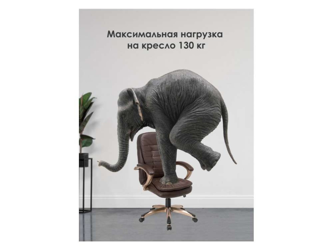 Palamos brown Компьютерное кресло