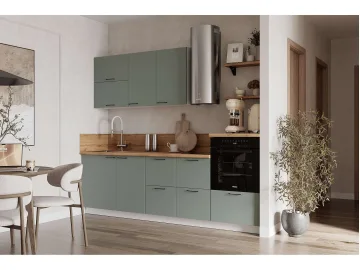 КГ 2550 Эмаль, Олива  Арника РМ в.5