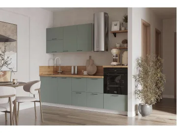 КГ 2550 Эмаль, Олива  Арника РМ в.2