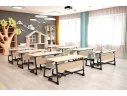 Стул Sheffilton SHT-S-TN21/3-5 А3-5 мятный/белый муар арт. 6362687310