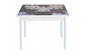 Стол обеденный поворотно раскладной фотопечать Симпл / бетон белый Орхидея на черных камнях / опора круглая муар белый