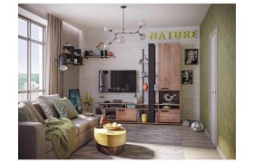 Шкаф Гостиная Nature. Комплект 1, дуб табачный