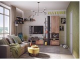 Гостиная Nature. Комплект 2, дуб табачный недорого