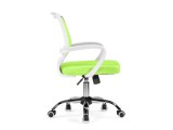 Ergoplus green  / white Компьютерное кресло фото