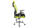 Lody 1 светло-зеленое / черное Компьютерное кресло купить