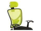 Lody 1 светло-зеленое / черное Компьютерное кресло от производителя