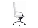 Isida white / satin chrome Компьютерное кресло от производителя