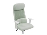 Salta light green / white Компьютерное кресло от производителя