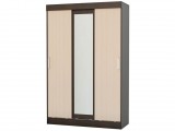Басямиф Шкаф-купе (Венге / дуб беленый) недорого