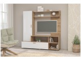 Гостиная Аллегро 8 (Венге / Белфорт) распродажа