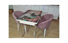 Обеденная группа Симпл фотопечать Маслины №5