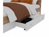 Кровать "Диана" 1600 с ящиком (дуб золотой/белый) с недорого